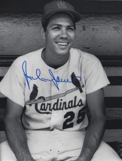 AUTOGRAPHED JULIAN JAVIER 8x10 St. Louis Cardinals Photo