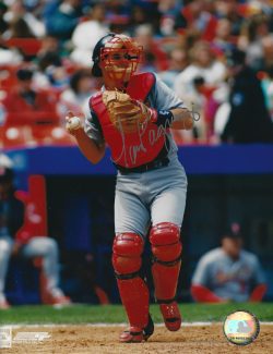 AUTOGRAPHED TOM PAGNOZZI 8x10 St. Louis Cardinals Photo