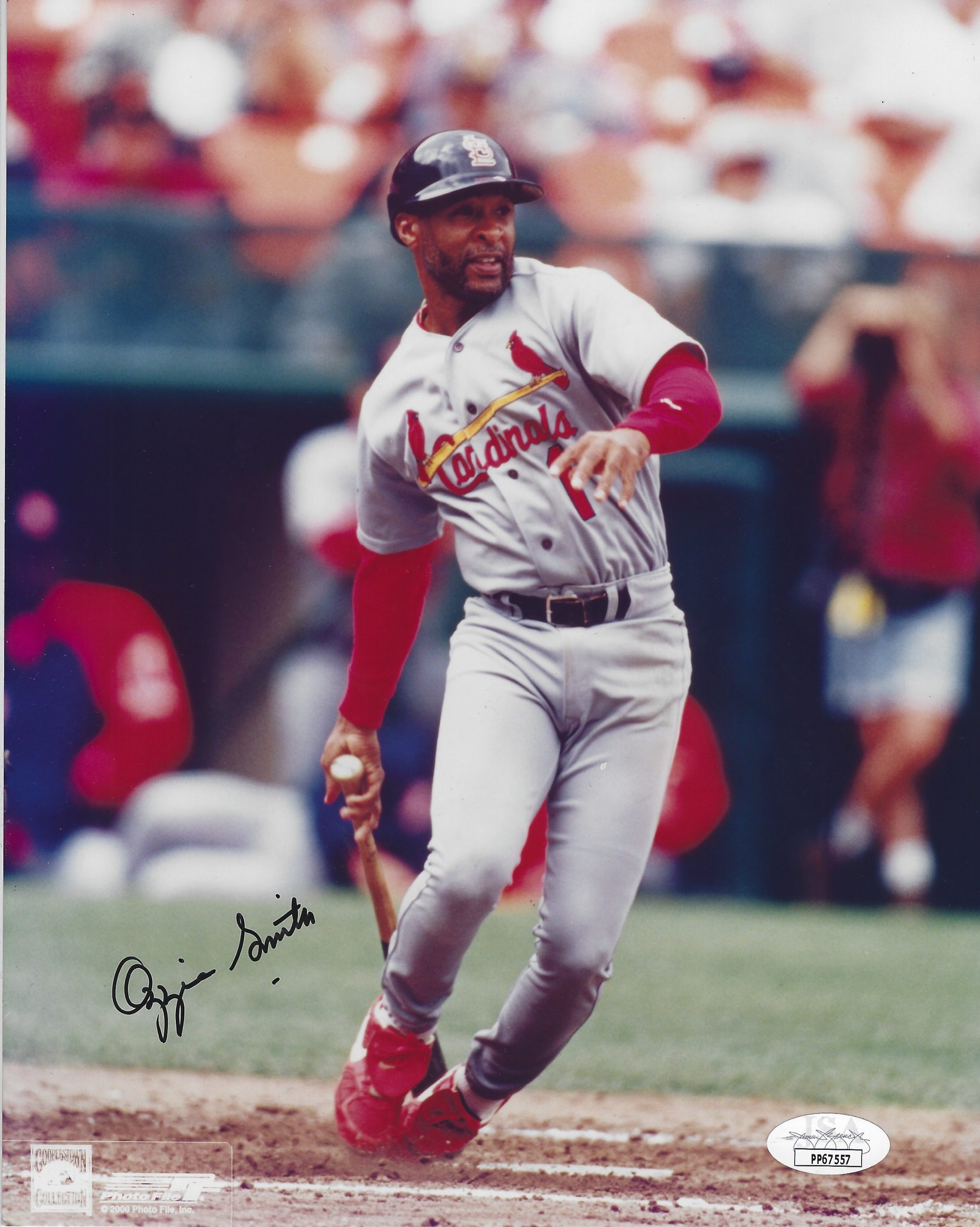 Ozzie Smith signed St Louis Cardinals baseball 8x10 photo proof Beckett  COA.