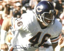 Autographed DOUG PLANK 8x10 Chicago Bears Photo