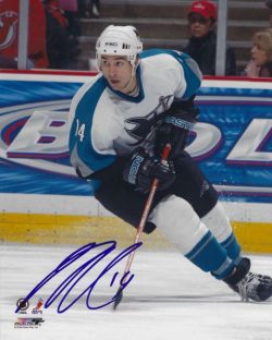 Autographed Sharks Photos