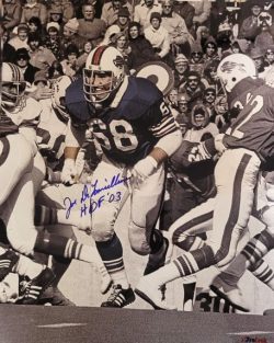 Autographed Joe DeLamielleure Buffalo Bills 16x20 Photo