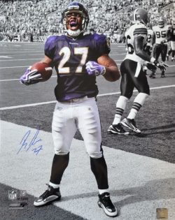 AUTOGRAPHED Ray Rice 16x20 Baltimore Ravens Photo