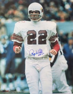 Autographed ROGER WEHRLI St. Louis Cardinals 16x20 Photo