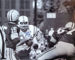 AUTOGRAPHED GINO MARCHETTI 16x20 Baltimore Colts Photo