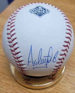 Autographed ASTRUBAL CABRERA Official 2019 World Series Major League Baseball