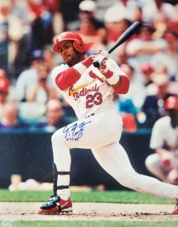 AUTOGRAPHED 16x20 FERNANDO TATIS  St. Louis Cardinals Photo