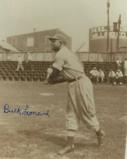 Autographed BUCK LEONARD 8X10 GRAYS photo
