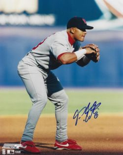 AUTOGRAPHED FERNANDO TATIS 8x10 St. Louis Cardinals photo