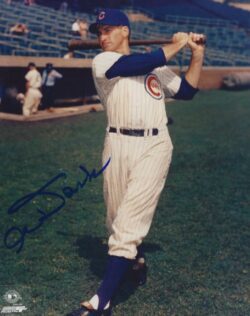 AUTOGRAPHED  Al Dark 8X10 Chicago Cubs Photo