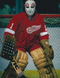 Dino Ciccarelli Detroit Red Wings HOF Autographed 8x10 - NHL Auctions