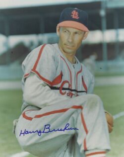 AUTOGRAPHED HARRY BRECHEEN 8x10 St. Louis Cardinals Photo