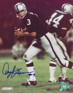 Autographed DARYLE LAMONICA  8x10 Oakland Raiders photo