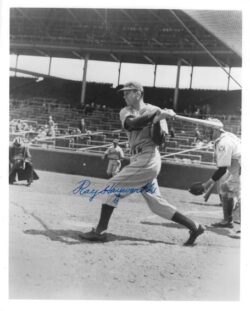 AUTOGRAPHED RAY HAYWORTH 8x10 Brooklyn Dodgers photo