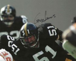 Autographed LOREN TOEWS PITTSBURGH STEELERS 8x10 photo