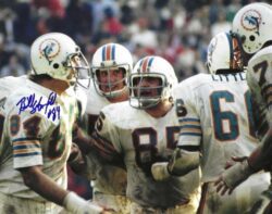 norm evans miami dolphins