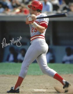 AUTOGRAPHED RAY KNIGHT 8X10 Cincinnati Reds Photo