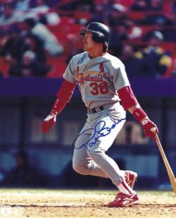 AUTOGRAPHED PAT BORDERS 8X10 St. Louis Cardinals photo