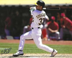 AUTOGRAPHED CAL STEVENSON 8x10 Oakland A's Photo