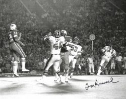 Autographed TOM ROUSSEL CHICAGO FIRE WFL 8x10 photo