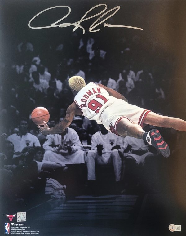 Autographed DENNIS RODMAN 16X20 Chicago Bulls photo Beckett Hologram