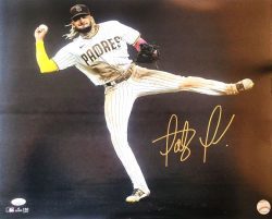 Autographed FERNANDO TATIS JR San Diego Padres 16x20 photo JSA