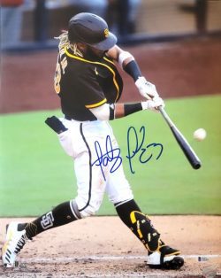 Autographed FERNANDO TATIS JR San Diego Padres 16x20 photo Beckett