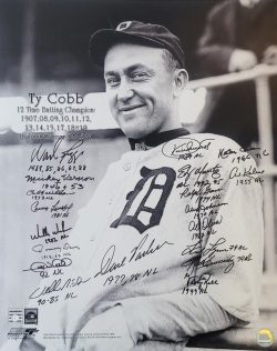 AUTOGRAPHED 16x20 BATTING LEADERS Photo 19 Signatures Puckett, Kaline etc.
