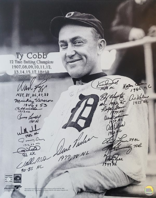 AUTOGRAPHED 16x20 BATTING LEADERS Photo 19 Signatures Puckett, Kaline etc.
