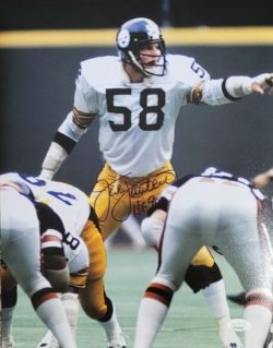 Autographed Jack Lambert Pittsburgh Steelers 11x14 Photo JSA