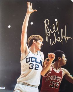 Autographed BILL WALTON 16X20 UCLA Bruins Photo PSA/DNA