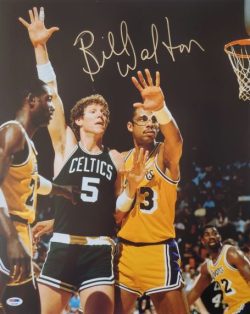 Autographed BILL WALTON 16X20 Boston Celtics Photo PSA/DNA