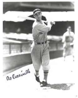 AUTOGRAPHED AL CUCCINELLO 8x10 New York Giants photo
