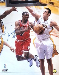 Autographed Ben Gordon Chicago Bulls 16x20 photo w/COA