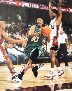 Autographed SEBASTIAN TELFAIR 16x20 Boston Celtics photo