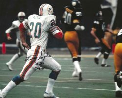 Autographed LARRY SEIPLE 8X10 Miami Dolphins photo