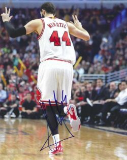 Autographed NIKOLA MIROTIC 8X10 Chicago Bulls Photo