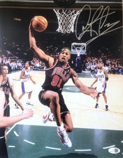 Autographed DENNIS RODMAN 11X14 Chicago Bulls photo JSA