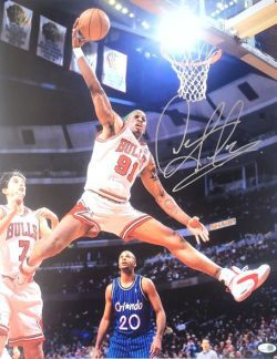 Autographed DENNIS RODMAN 16X20 Chicago Bulls photo JSA Witness Hologram