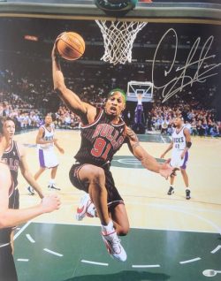 Autographed DENNIS RODMAN 16X20 Chicago Bulls photo JSA Witness Hologram