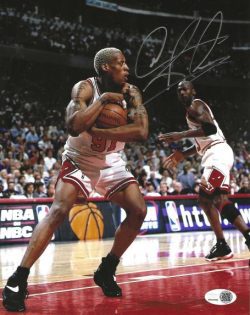 Autographed DENNIS RODMAN 8x10 Chicago Bulls photo JSA