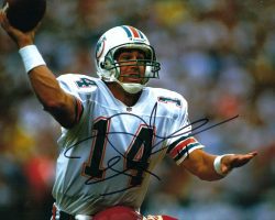 Autographed Doug Pederson Miami Dolphins 8X10 Photo