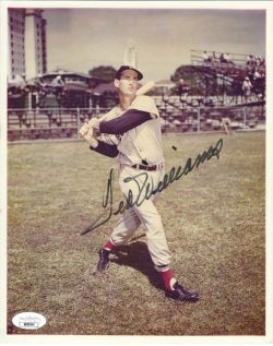 Autographed TED WILLIAMS 8X10 Boston Red Sox photo JSA
