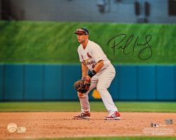Autographed PAUL GOLDSCHMIDT 16x20 St. Louis Cardinals Photo Fanatics
