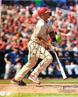Autographed PAUL GOLDSCHMIDT 16x20 St. Louis Cardinals Photo Fanatics