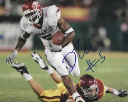 Autographed DARREN McFADDEN Arkansas Razorbacks 8x10 Photo