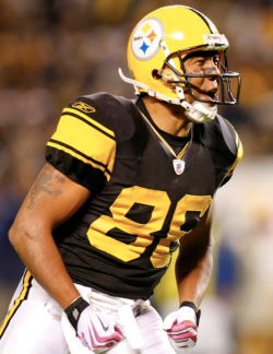 Hines Ward  - Autograph Ticket- Premium Item