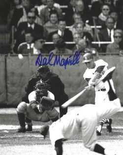 AUTOGRAPHED DAL MAXVILL 8x10 St. Louis Cardinals photo