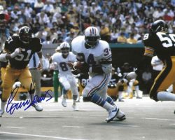 Autographed LOREN TOEWS 8X10 Pittsburgh Steelers photo