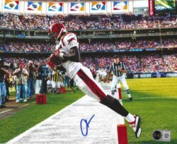 Autographed CHAD JOHNSON 8X10 Cincinnati Bengals photo Beckett